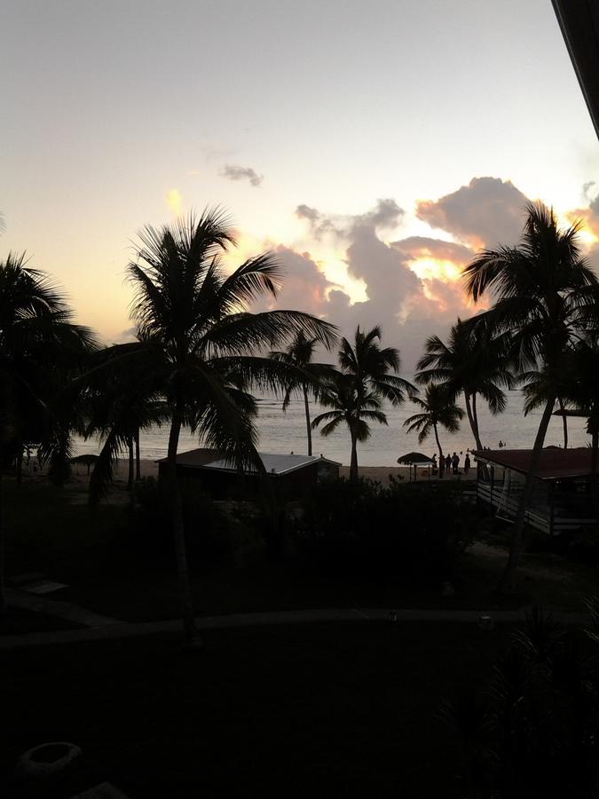 Cocotiers Et Pieds Dans L'eau * Saint-Francois (Grande-Terre)