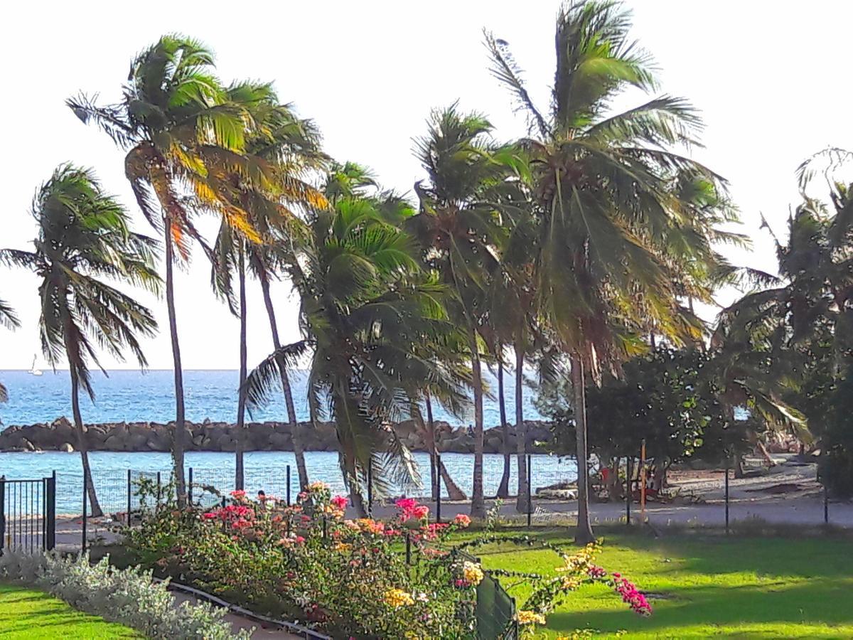 Studio Bleu Caraibe Apartment *