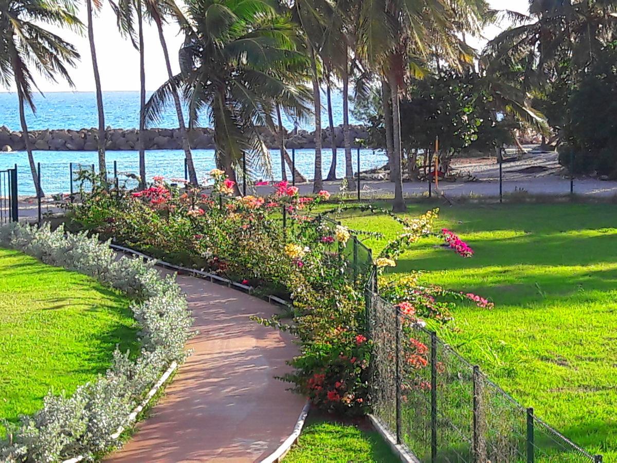Studio Bleu Caraibe Apartment *