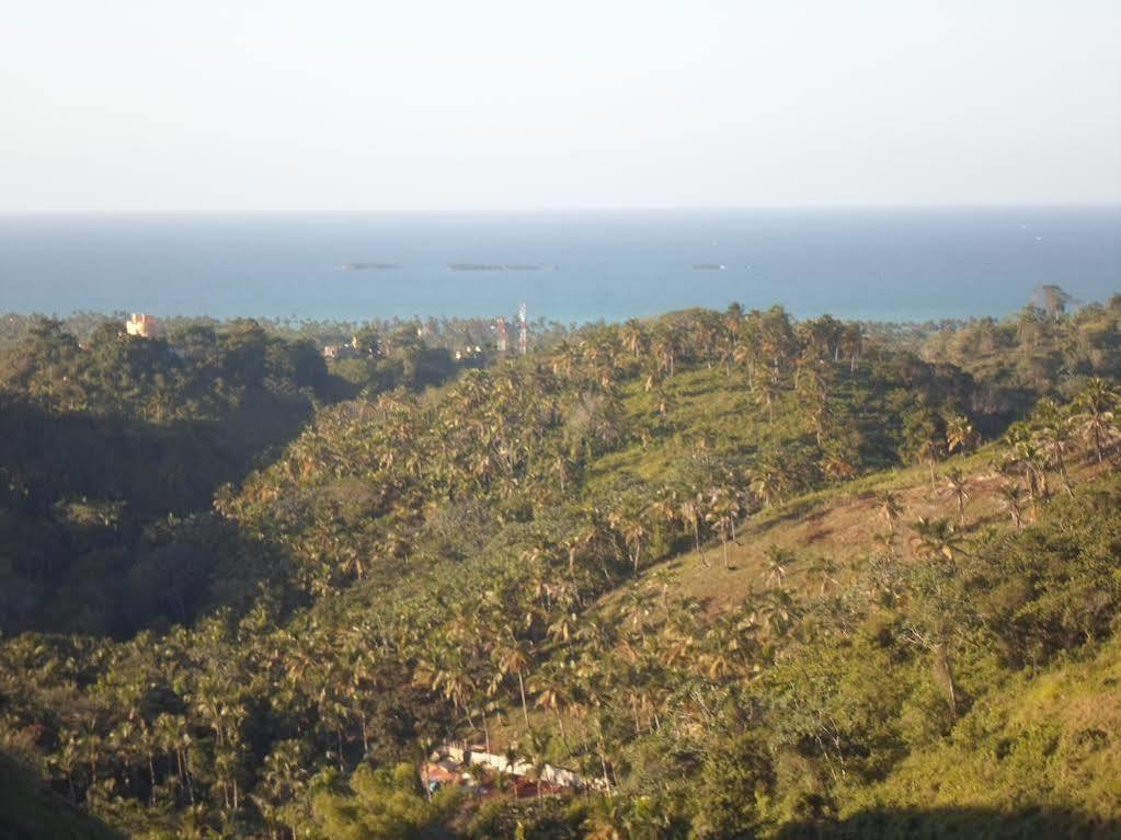 Angel Las Terrenas