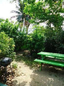 Inn Eldemire's Tropical Island