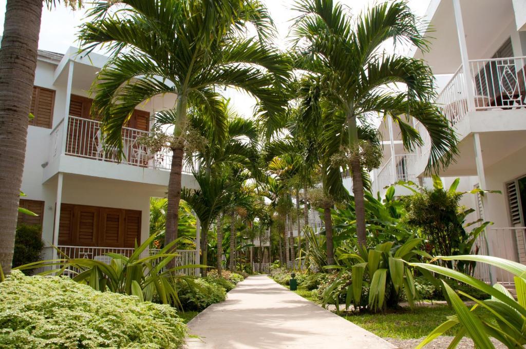 Palms 3* Negril
