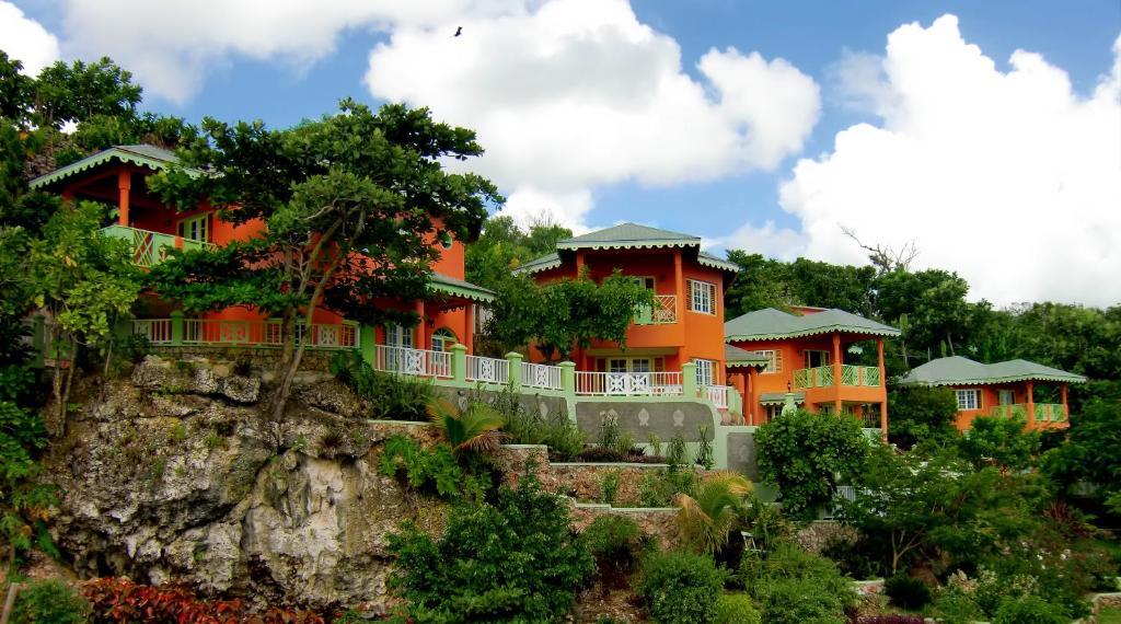 Pimento Port Antonio