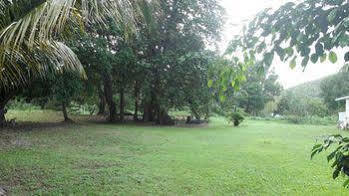 Bungalow Papaye 3*