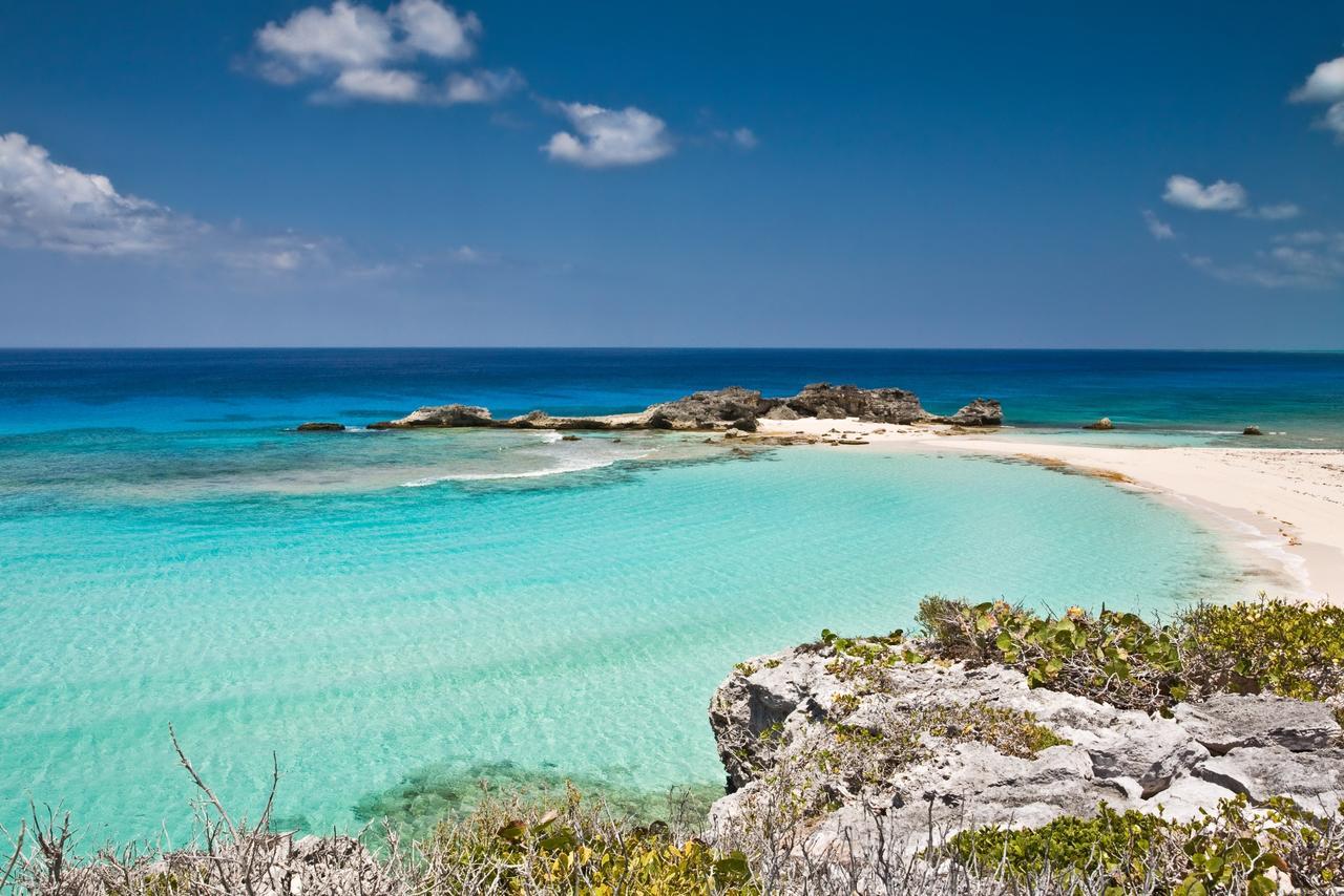 Hollywood Turks And Caicos Whitby