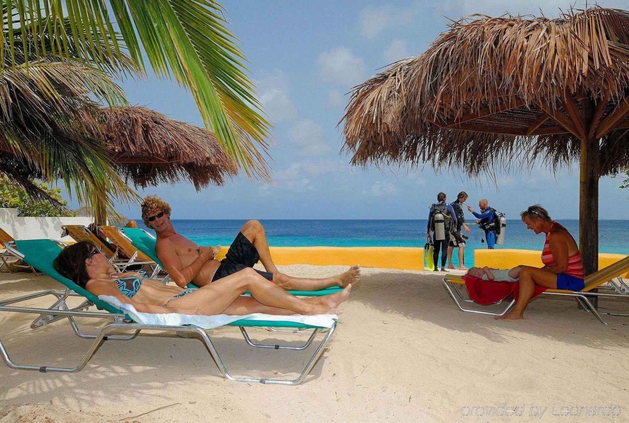Apartment 1 And 5 In Windsock Bonaire