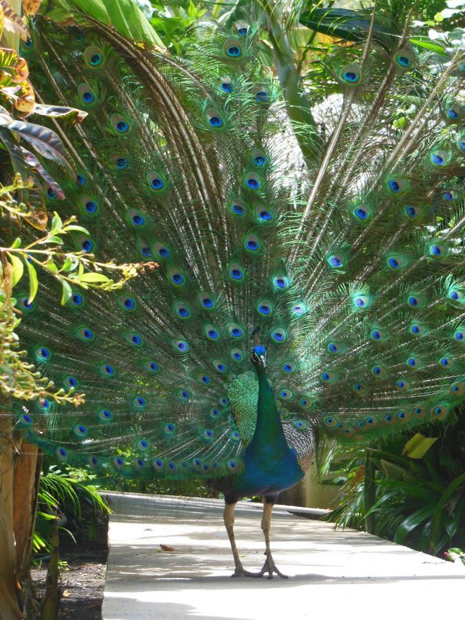 Hotel Playazul 3*