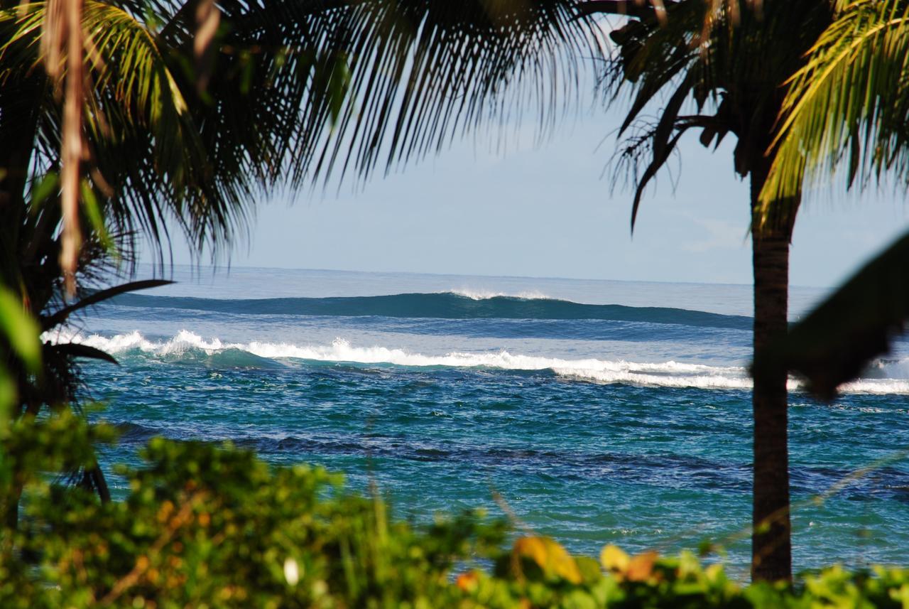 Alojamento Bungalove