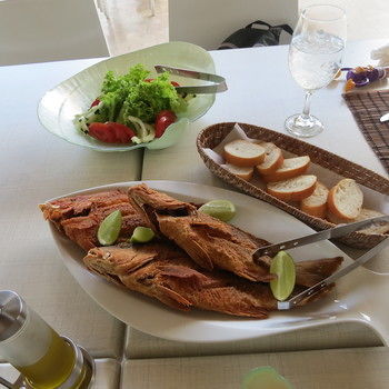 Aparthotel El Portillo Residences