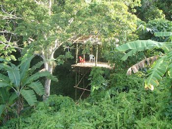 Hotel Jurassic Park