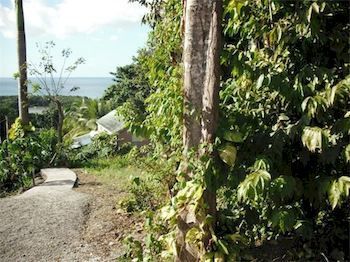 Villa Oasis De Grande Anse Deshaies