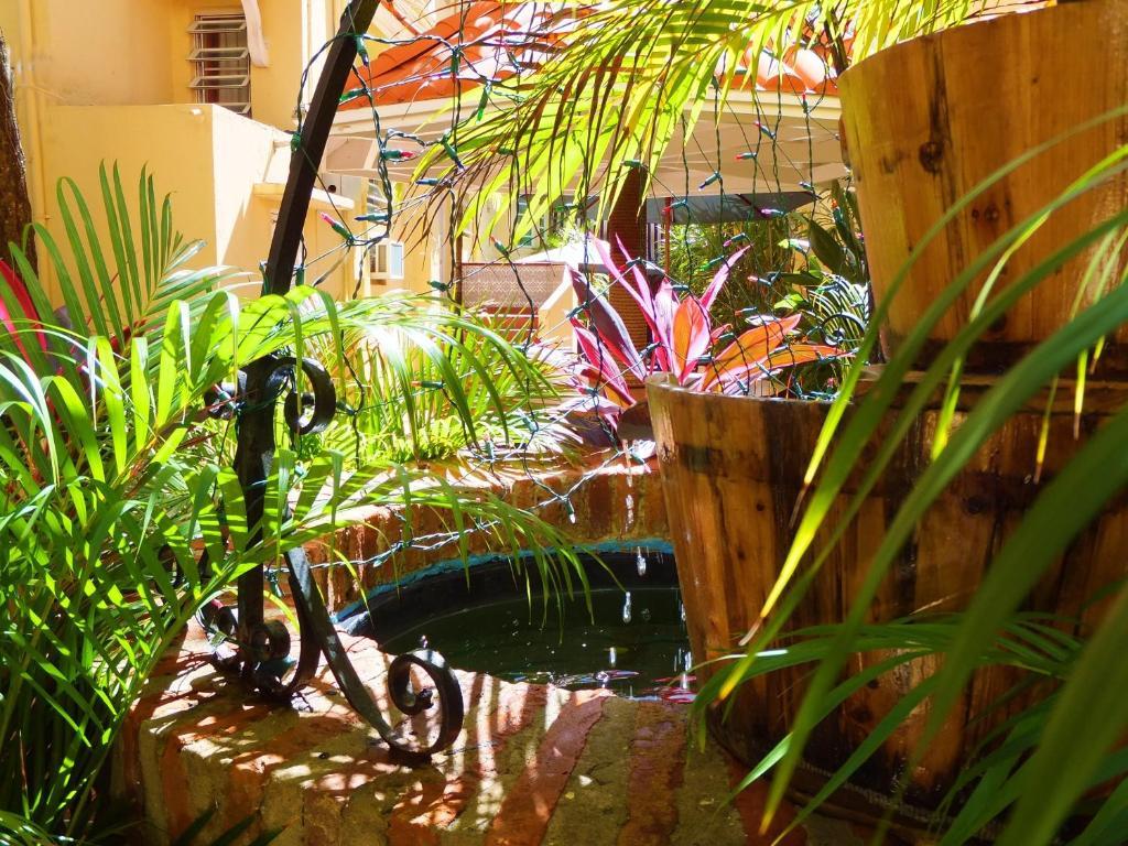 Hotel Canario Boutique