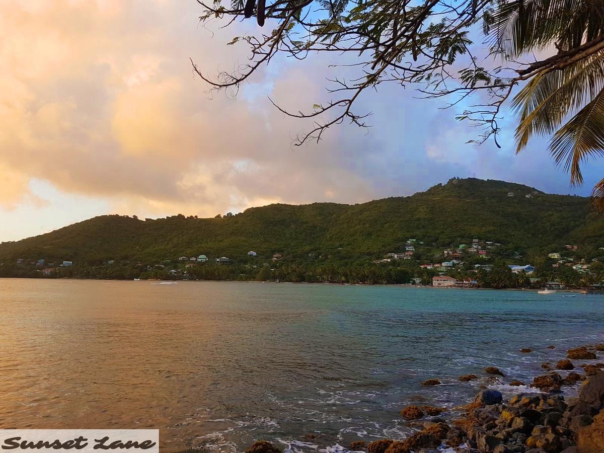Sunset Lane * Laborie