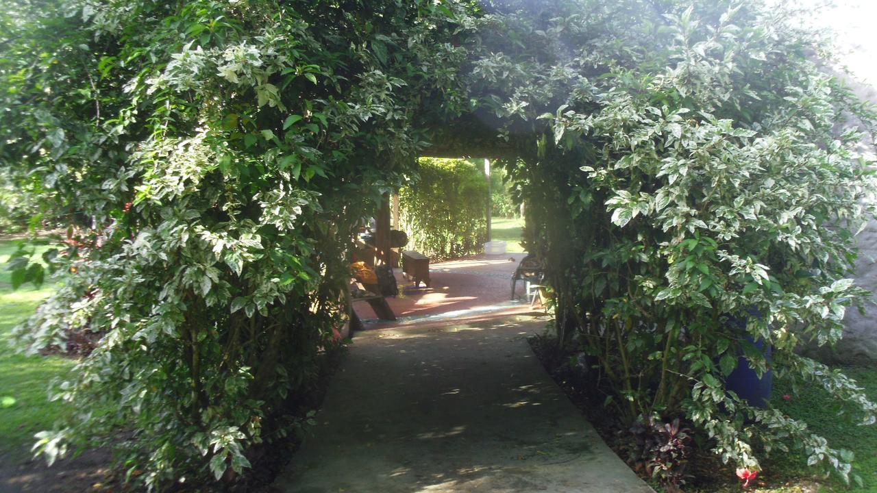 Country house At The Sea And Jungle *