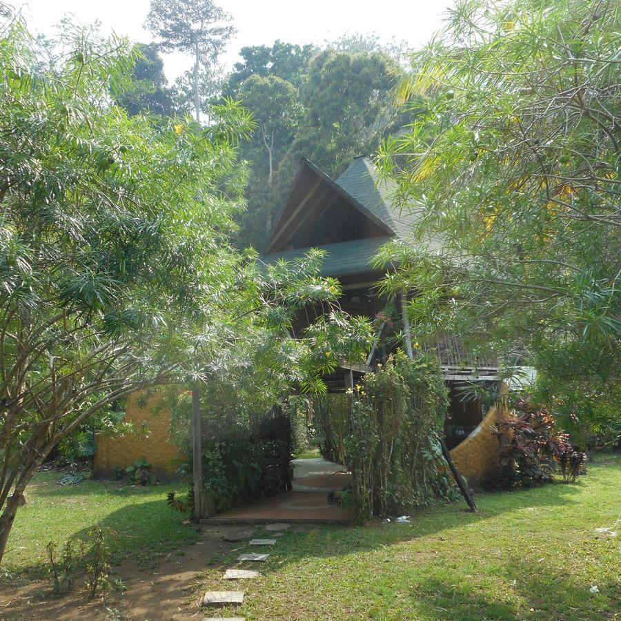 At The Sea And Jungle * Triganá