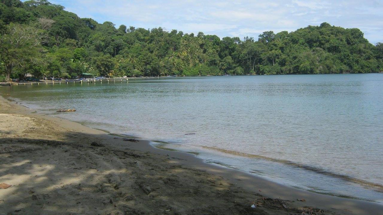 At The Sea And Jungle * Triganá