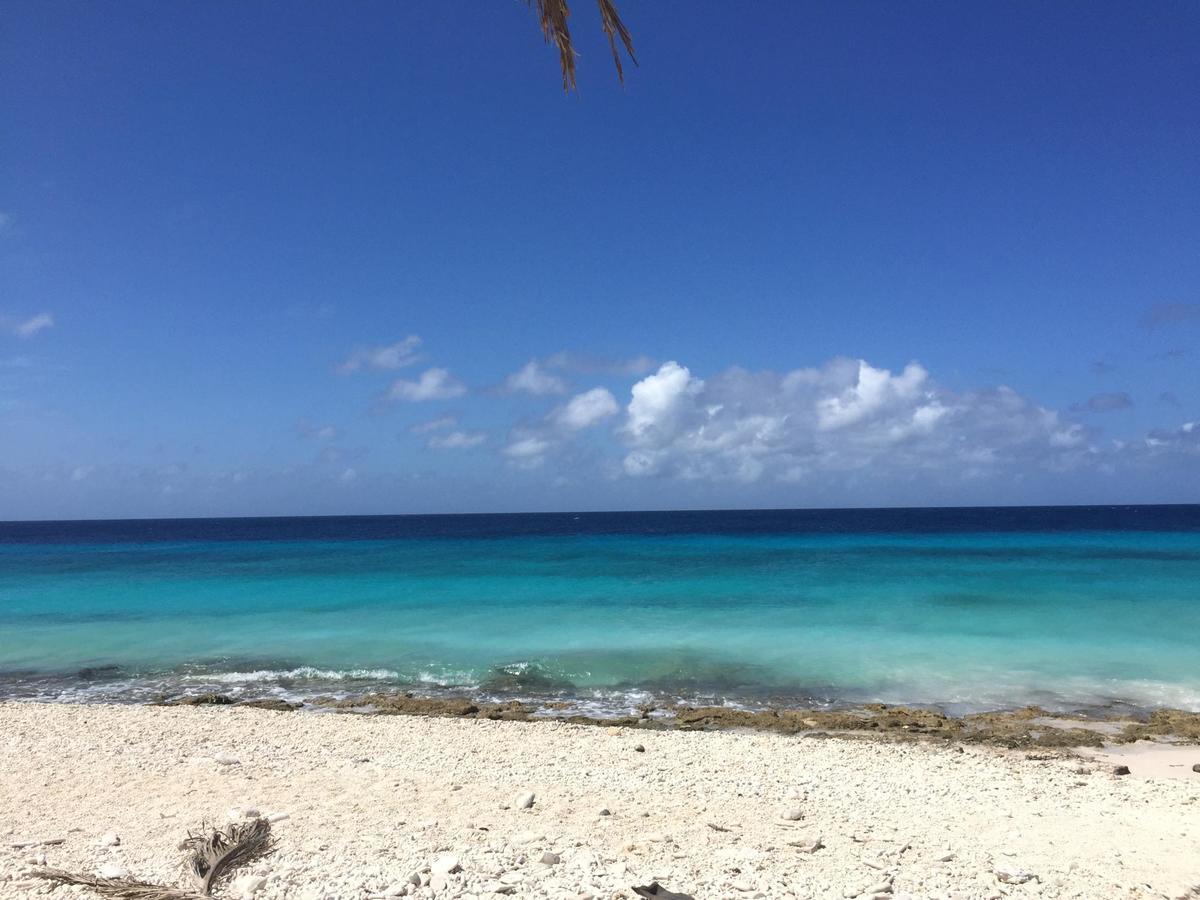 Resort Lighthouse Beach Unit 29 *