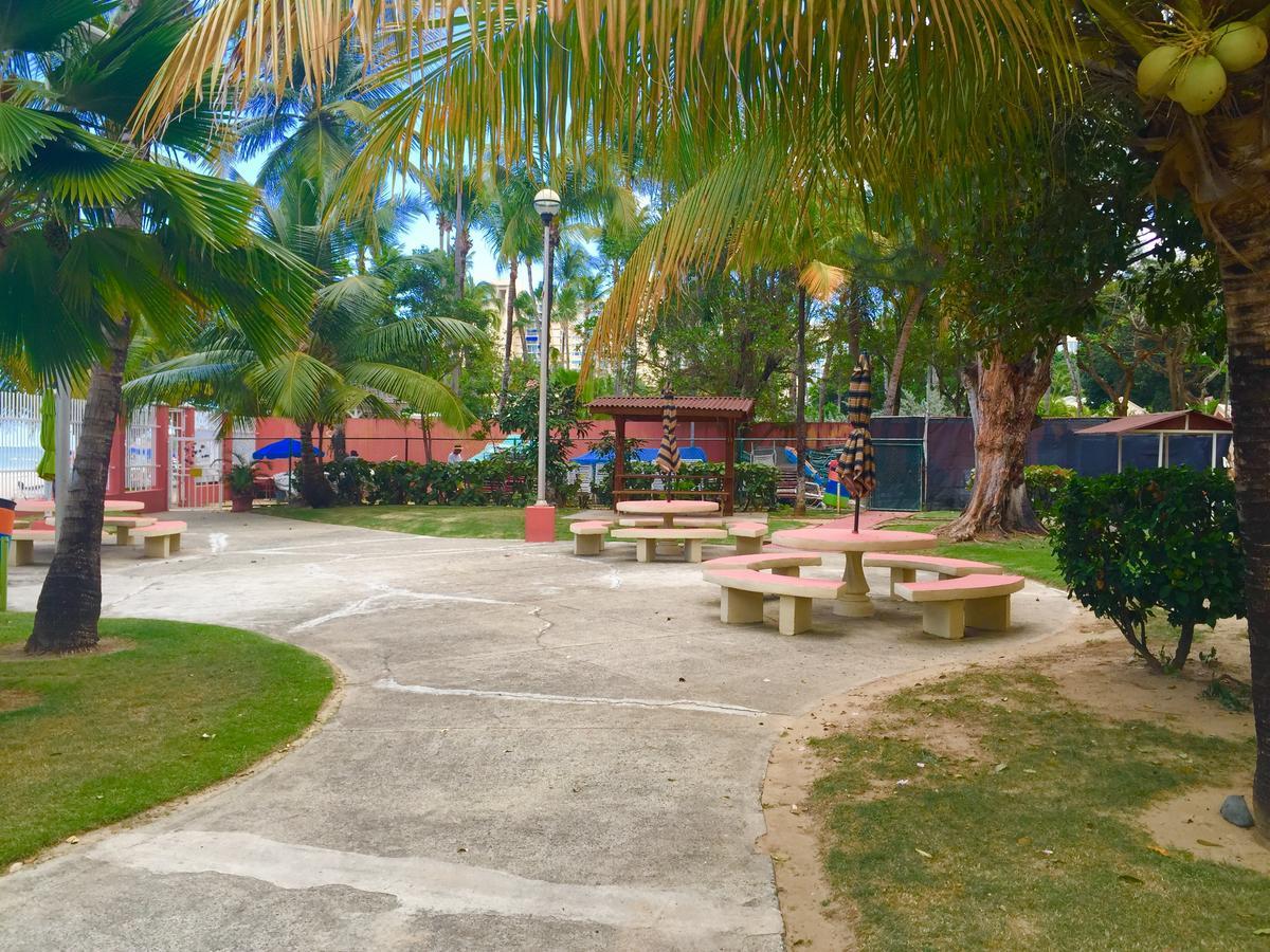 Apartment Coral Beach Beachfront Family Studio Apt. *