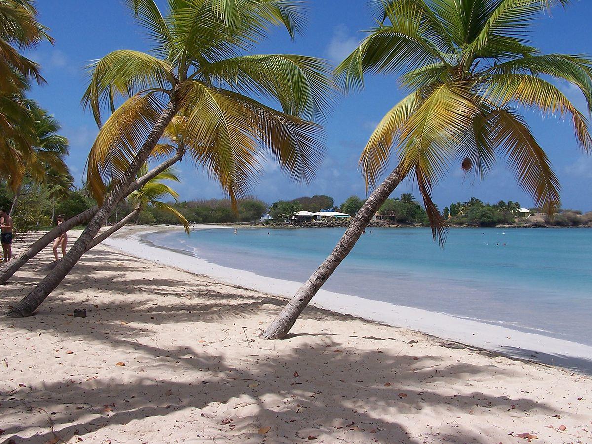 Apartamento Little Paradise *