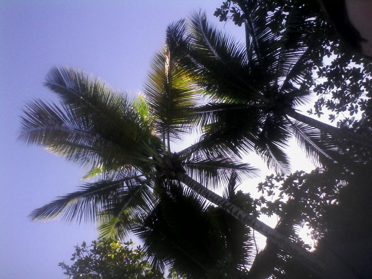 Greate Near To Beach *