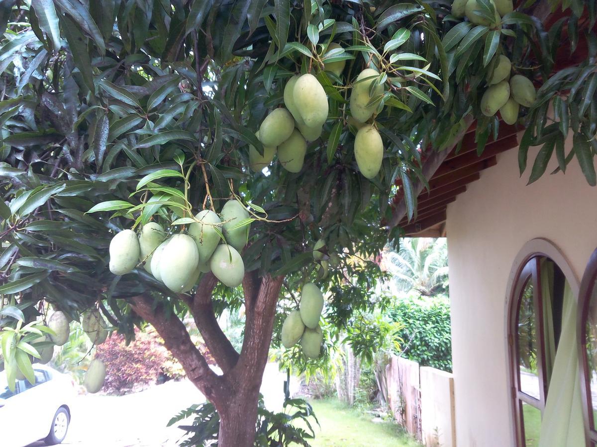 Apartment Greate Near To Beach