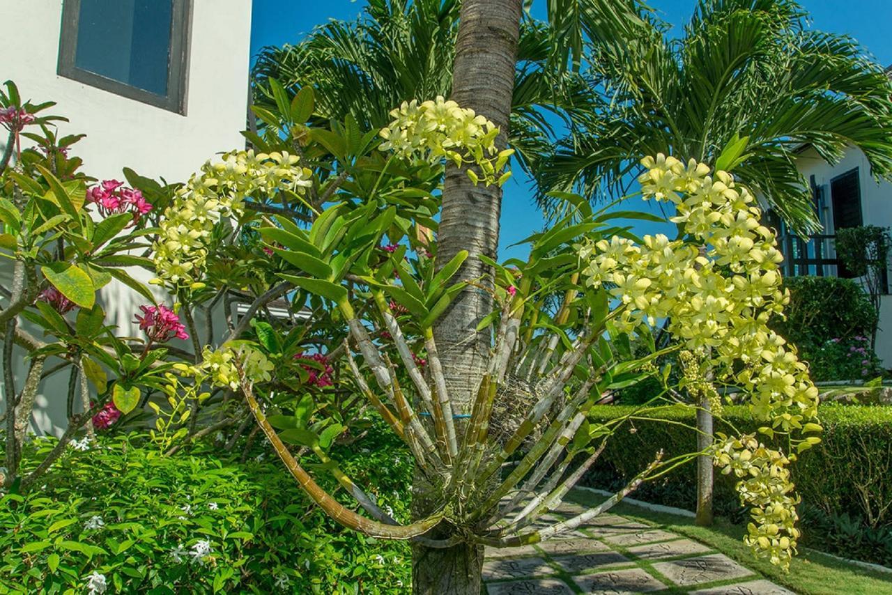 Luxury Sleeps 6, Access, Montego Bay