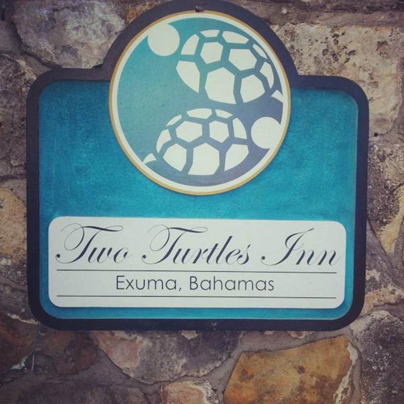 Two Turtles 3*
