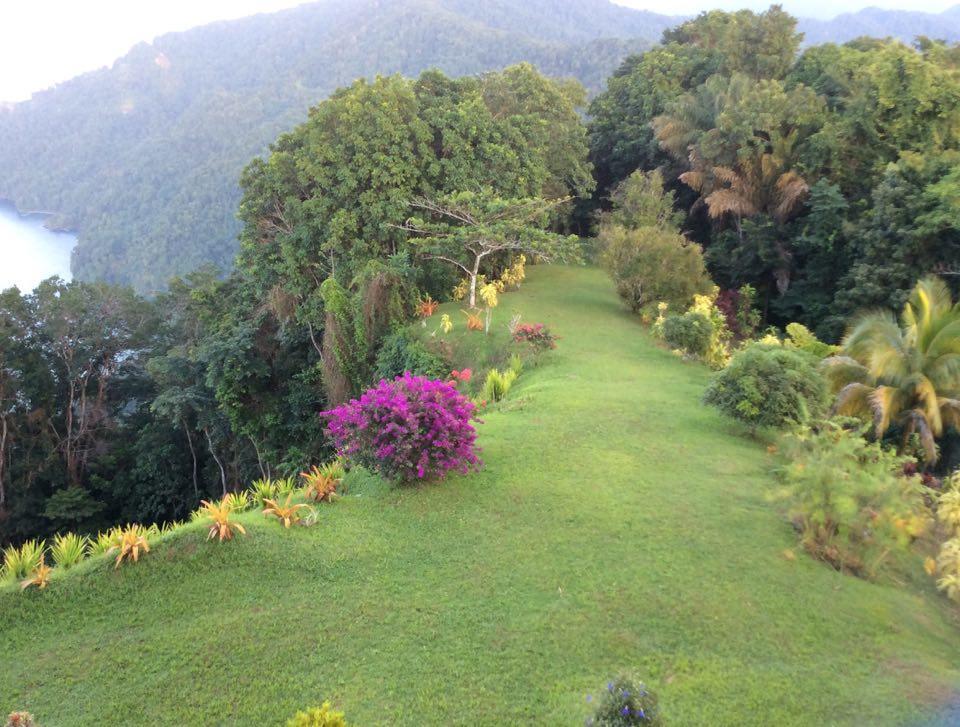 Mahogany Ridge * Arouca