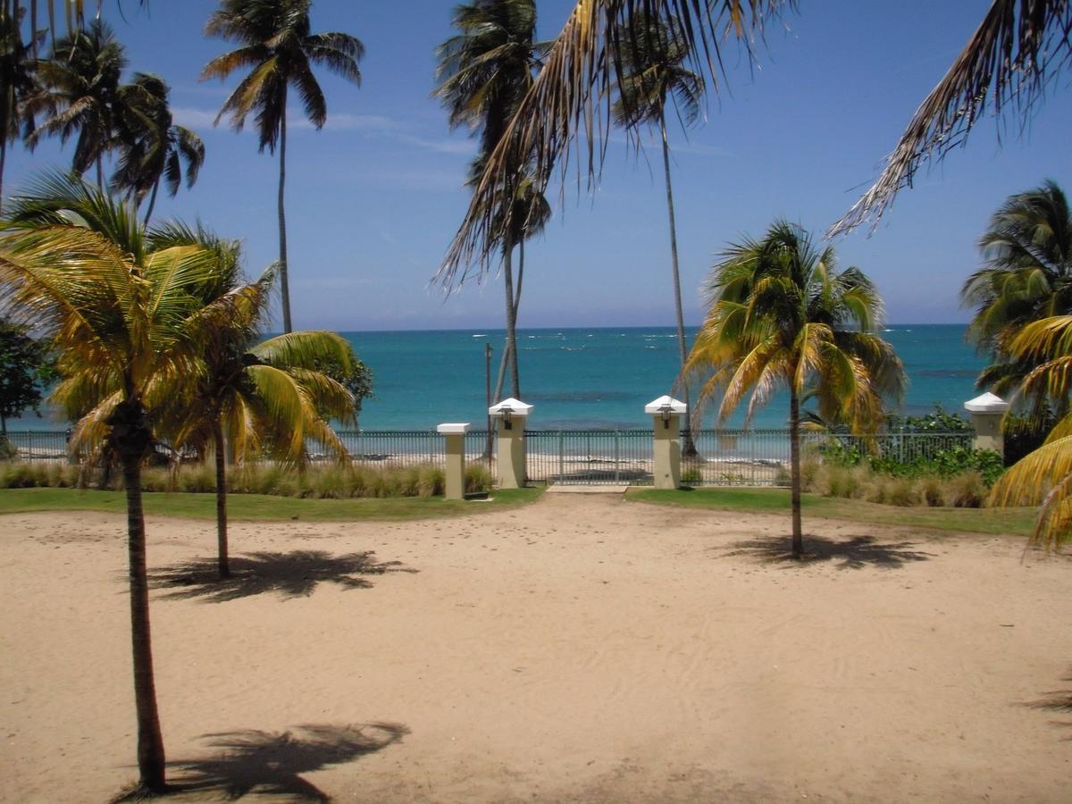 Aquatika Beachfront And Rainforest Views Apartment Loiza