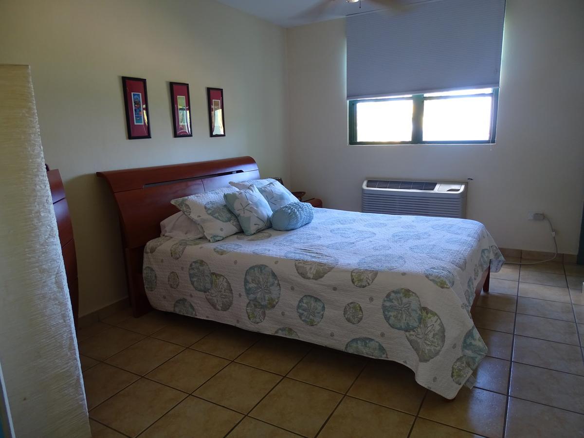 Aquatika Beachfront And Rainforest Views Apartment Loiza