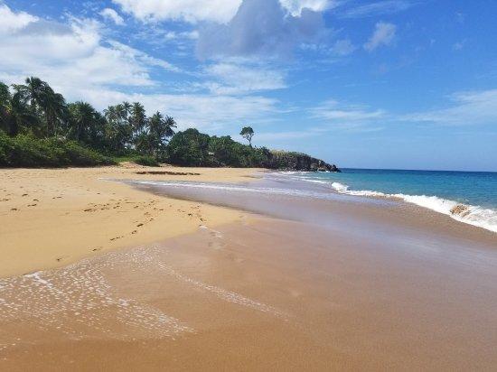 Au Vieux Manguier Casa de férias *