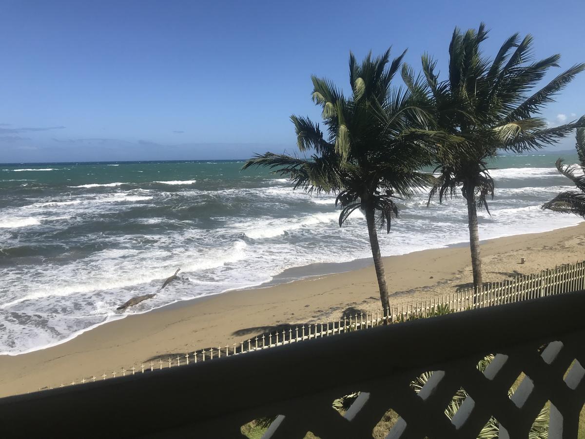 Barefoot Beach Pad 3* Cabarete