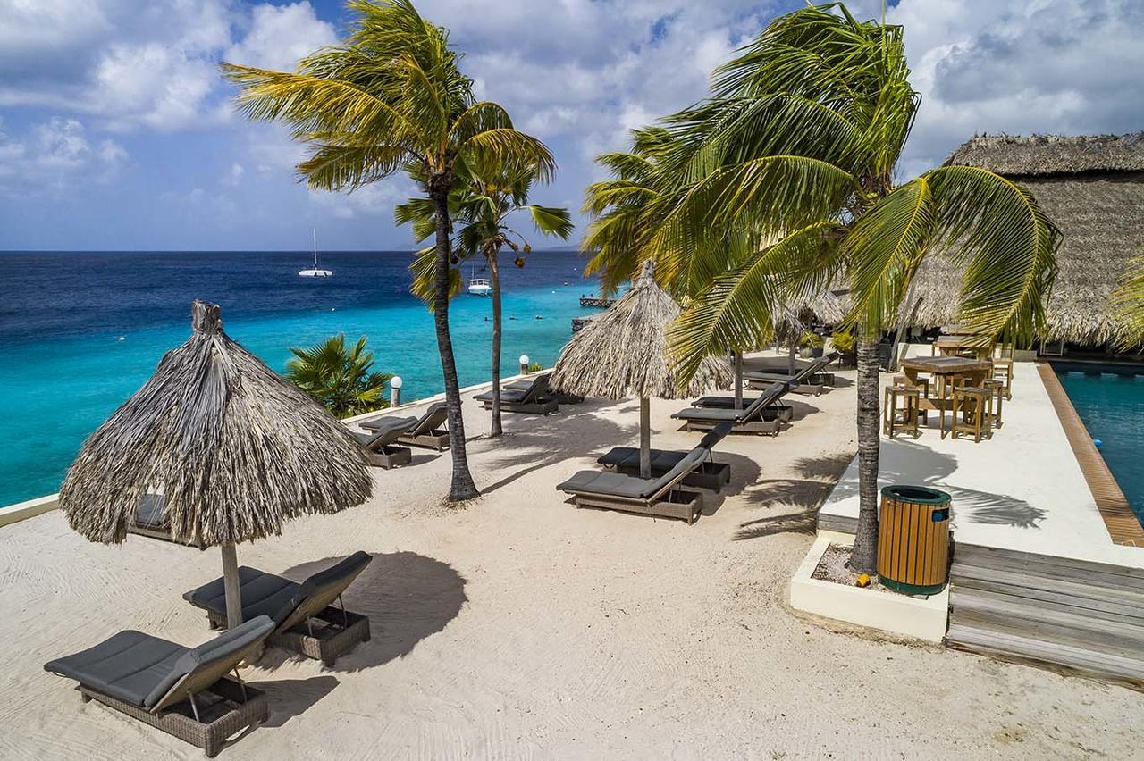 Buddy Dive 3* Kralendijk (Bonaire)