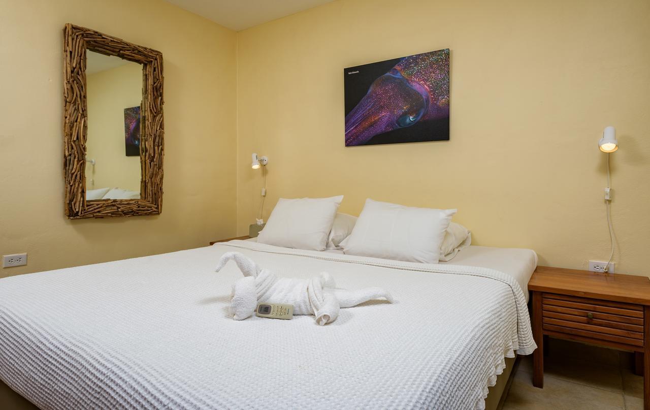 Buddy Dive Aparthotel 3*