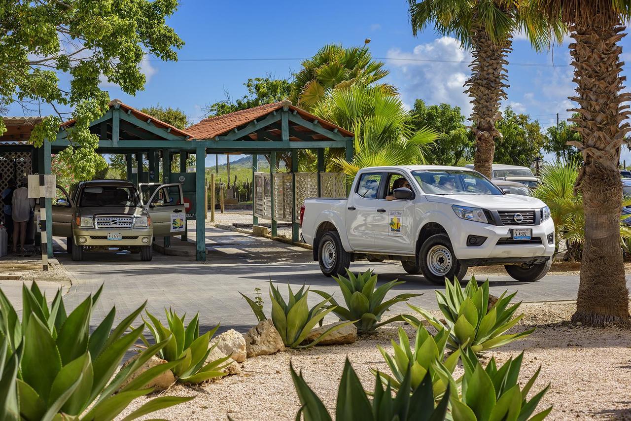 Buddy Dive Aparthotel 3*
