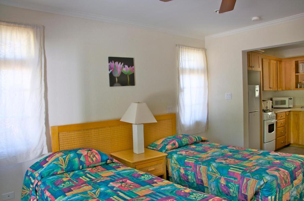 Apartamento Adulo