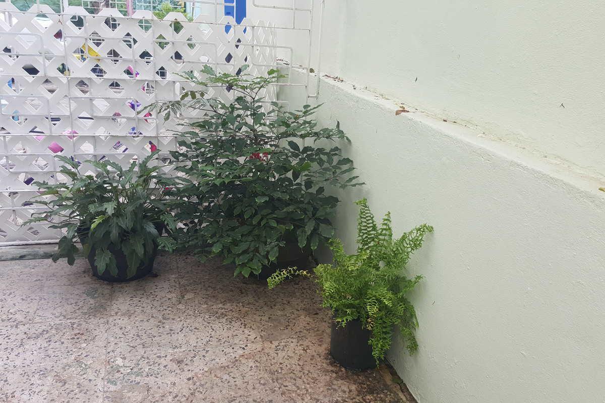 Alondra Guest house *