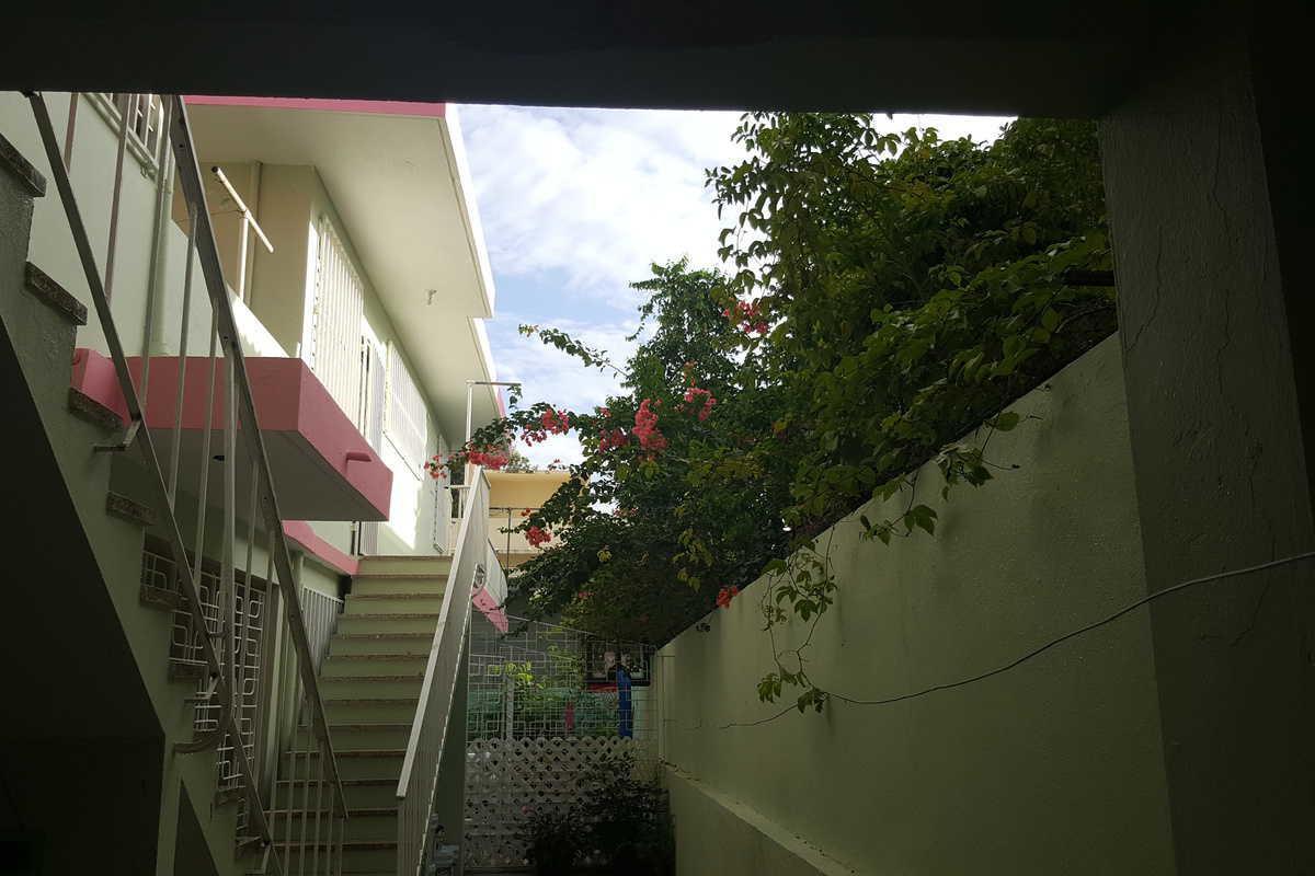 Alondra * San Juan