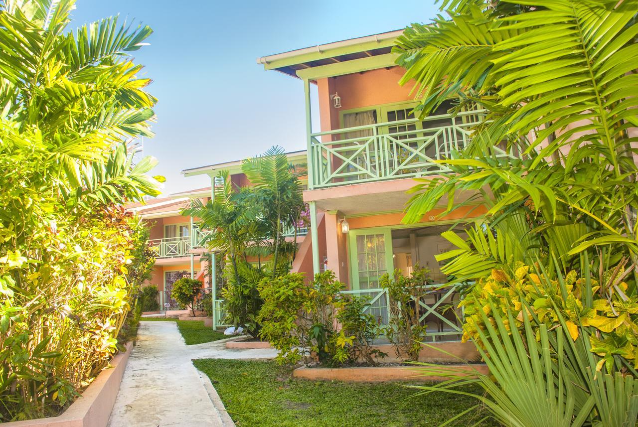 Apartment Halcyon Palm