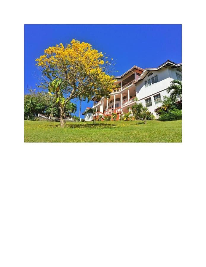 Alexandrina Hotel 3*
