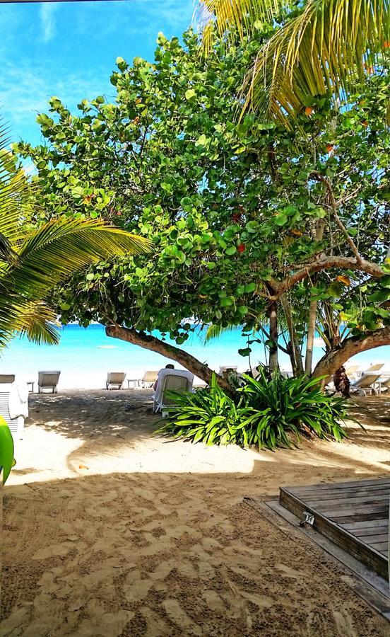 Idle Awhile Beach 3* Negril