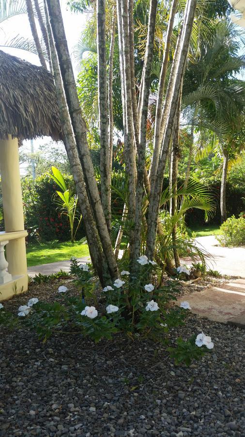 Hotel Casa Del Sol Luperon 3*