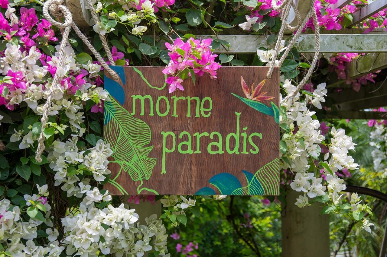 Apartment Morne Paradis *