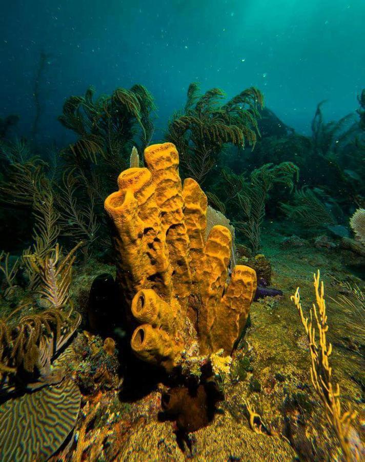 El Cayito Montecristi 4* San Fernando de Monte Cristi