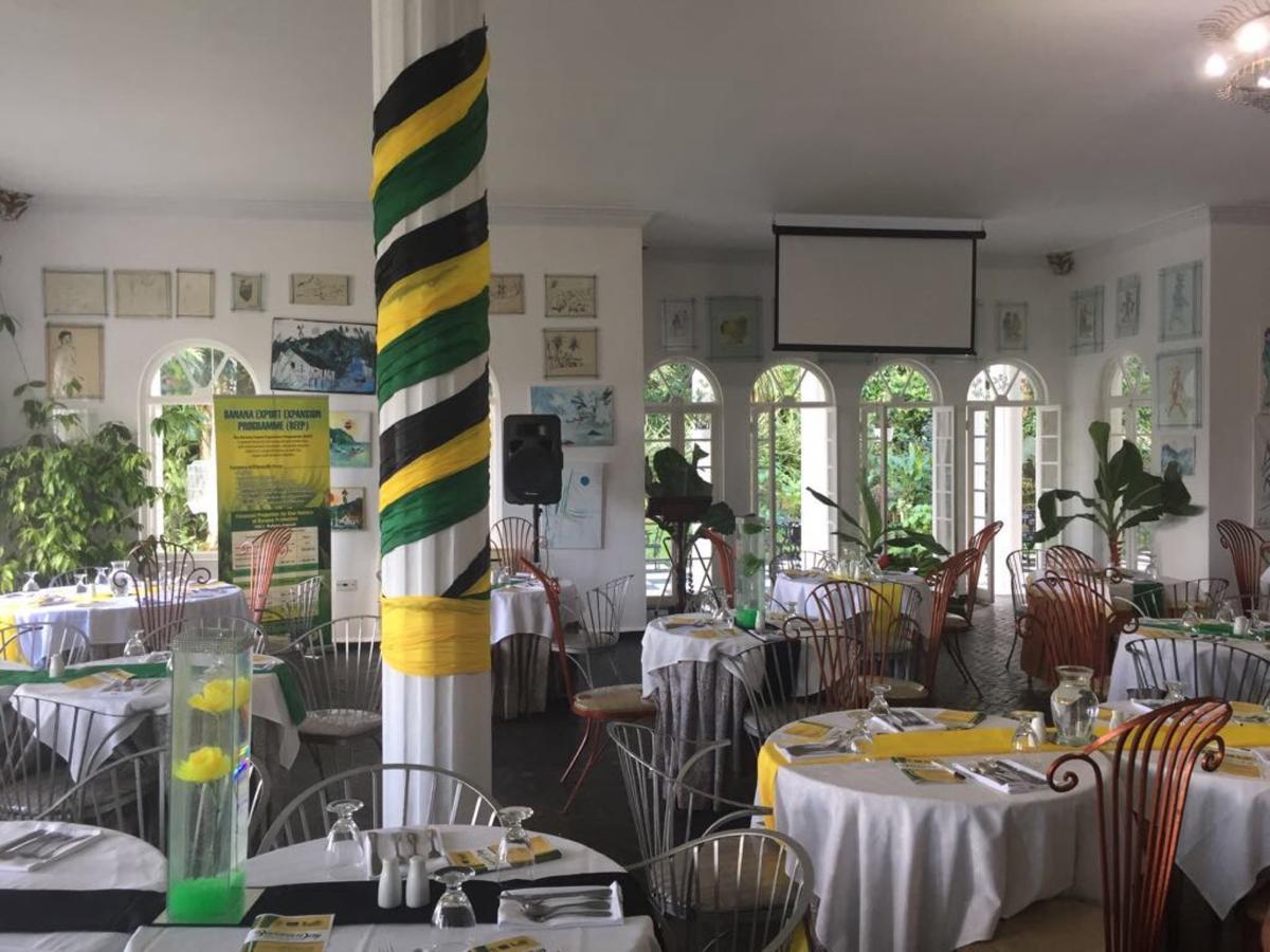 Jamaica Palace 3*
