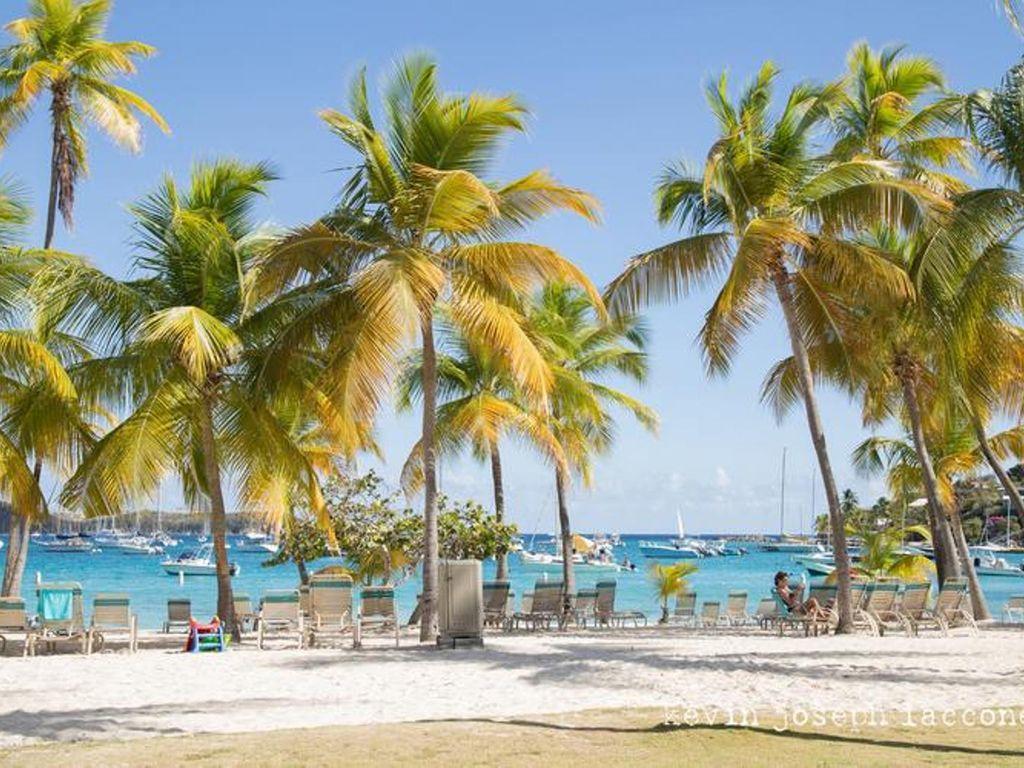 Caribbean Beachfront Condo, St Thomas Usvi Cowpet Beach West 3 Bedroom Aparthotel