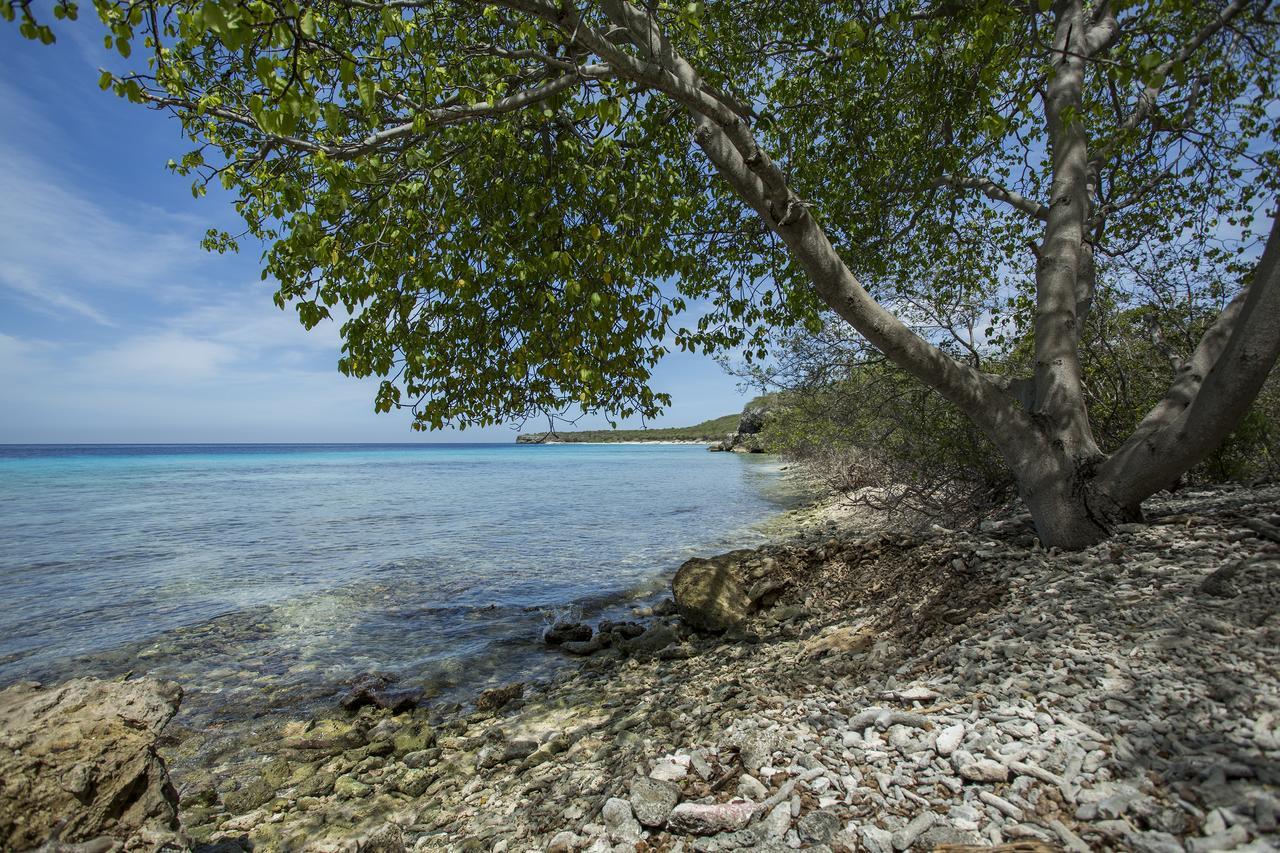 Bungalow Cas Abou 21 Holiday home