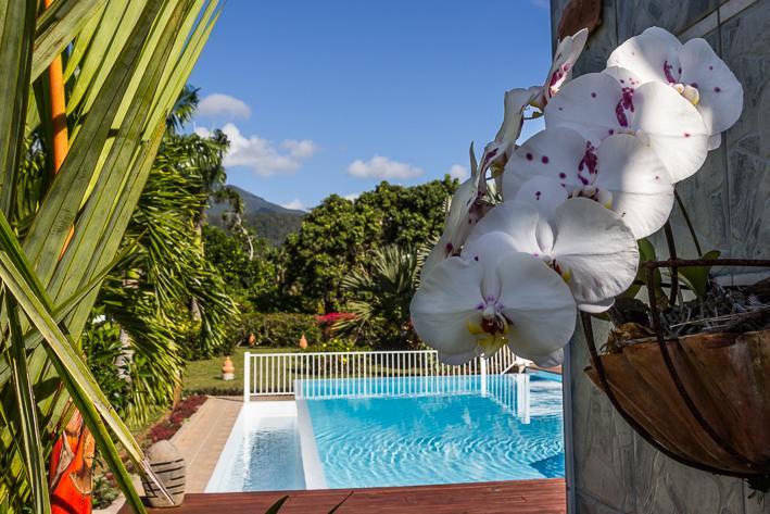 Guest house Habitation Cantamerle *