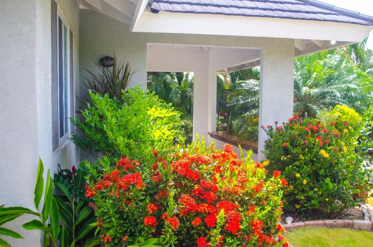Ocho Rios @ The Palms Villa