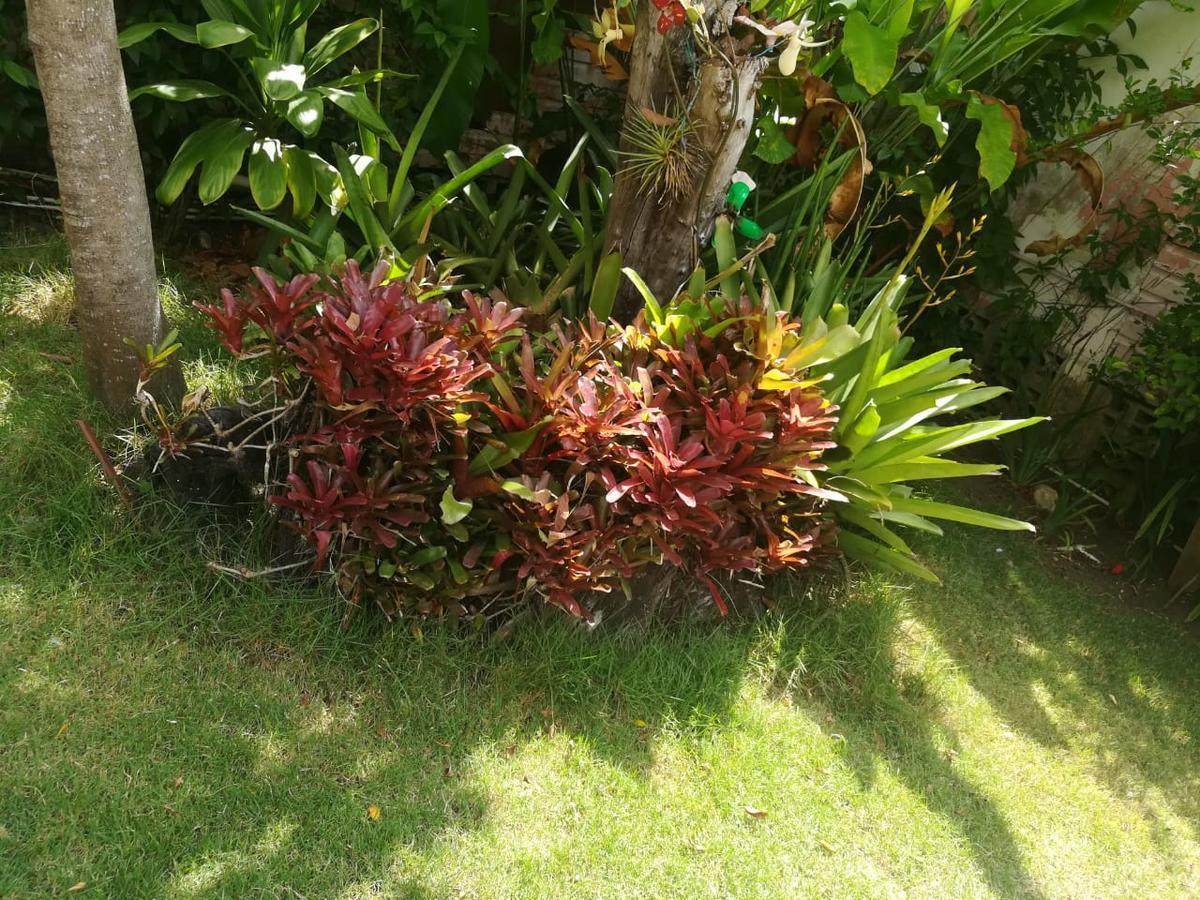 Acomodação com café da manhã  Carolina Puerto Plata